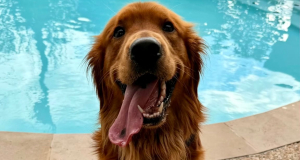 Charlie