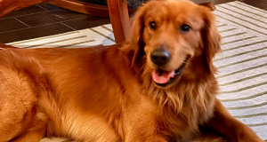 Charlie