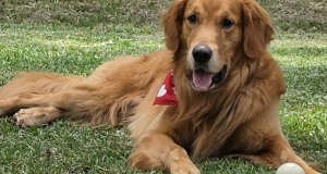 Benny